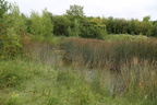 Claypits Nature Reserve
