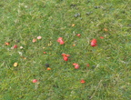 P1036474